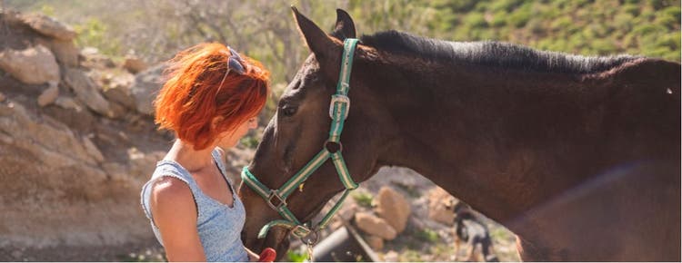 A young woman engages with a horse during equine therapy.