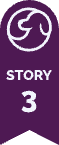 story number