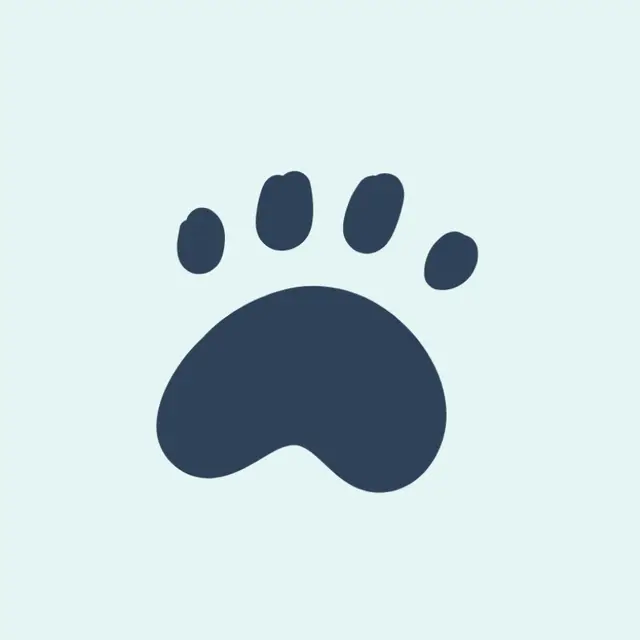 Pet available for adoption
