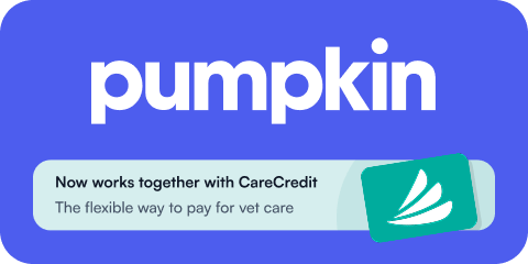 Pumpkin Pet Insurance Logo