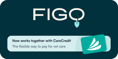Figo Pet Insurance Logo