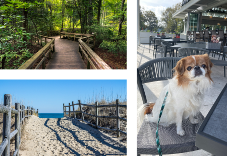 Virginia Beach, VA