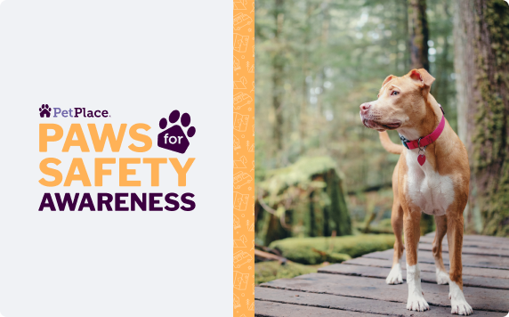 PetPlace Paws for Safety Awareness